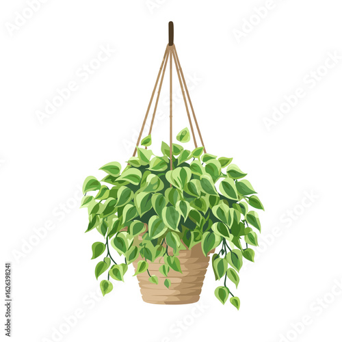 Hanging planter with lush green leaves enhances indoor decor in a cozy living space