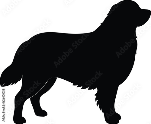 bernese mountain dog silhouette