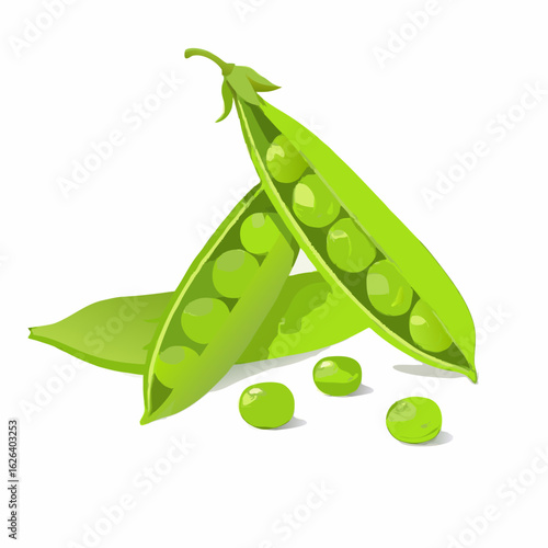 Fresh green pea pods opened revealing plump spherical peas scattered on white