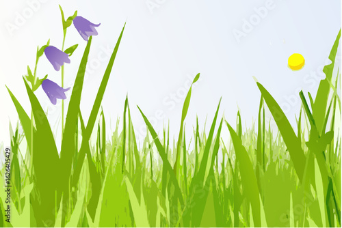 Lush green grass and delicate purple bluebell flowers bloom under a bright sunny sky