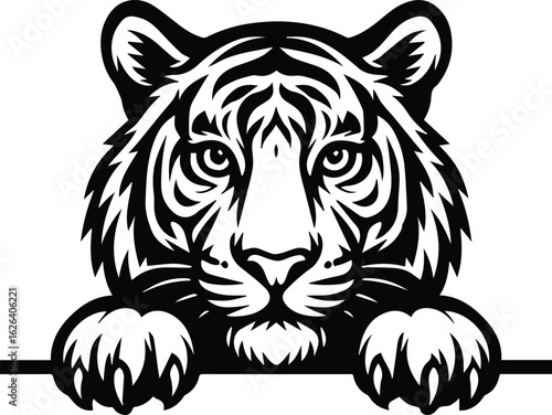 Peeking Tiger Design, Tiger peeking graphic vector 