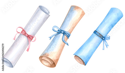 Scrolls tied with ribbon. Watercolor illustration isolated transparent background