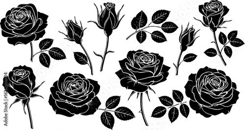 Vector art of collection of black roses and buds isolated on white background