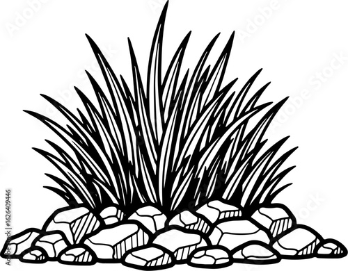 Illustration of grass and rocks isolated on white background