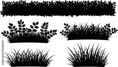 Vector art of collection of grass and hedge silhouettes isolated on white background