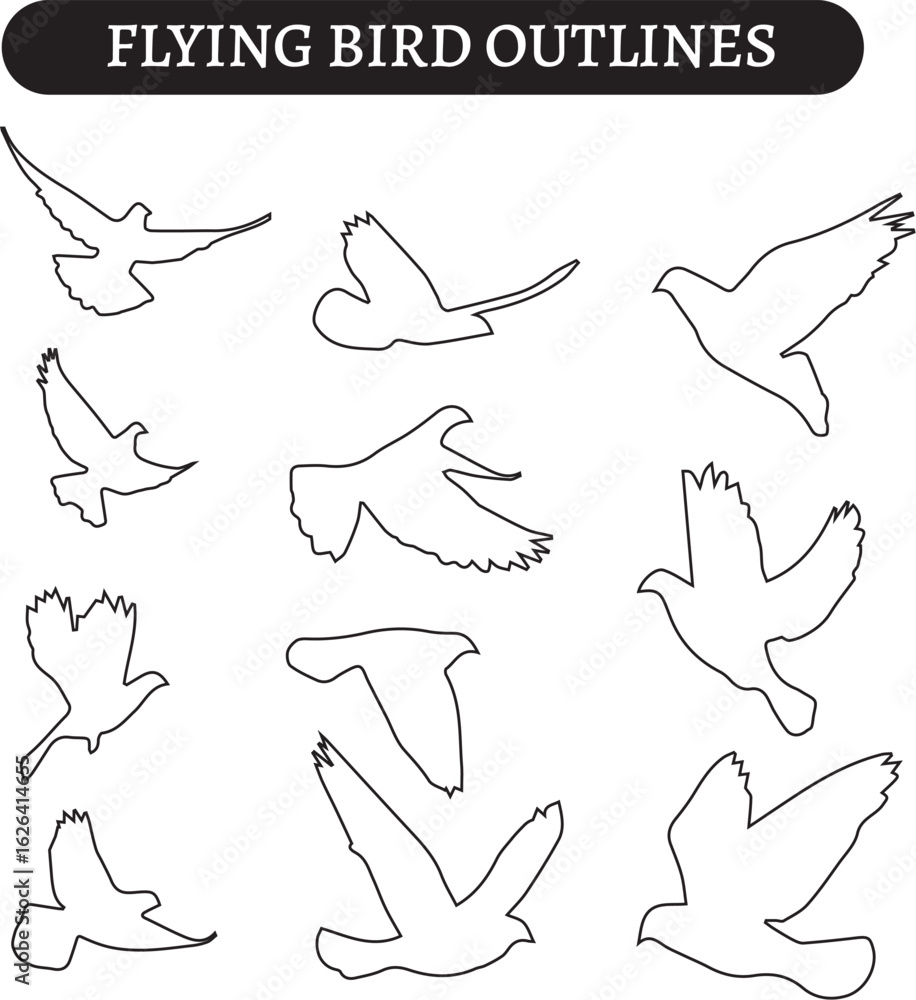 Fototapeta premium Flying Bird Outlines