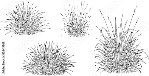Vector art of collection of grass clumps isolated on white background