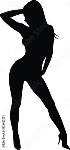 silhouette of a sexy woman posing