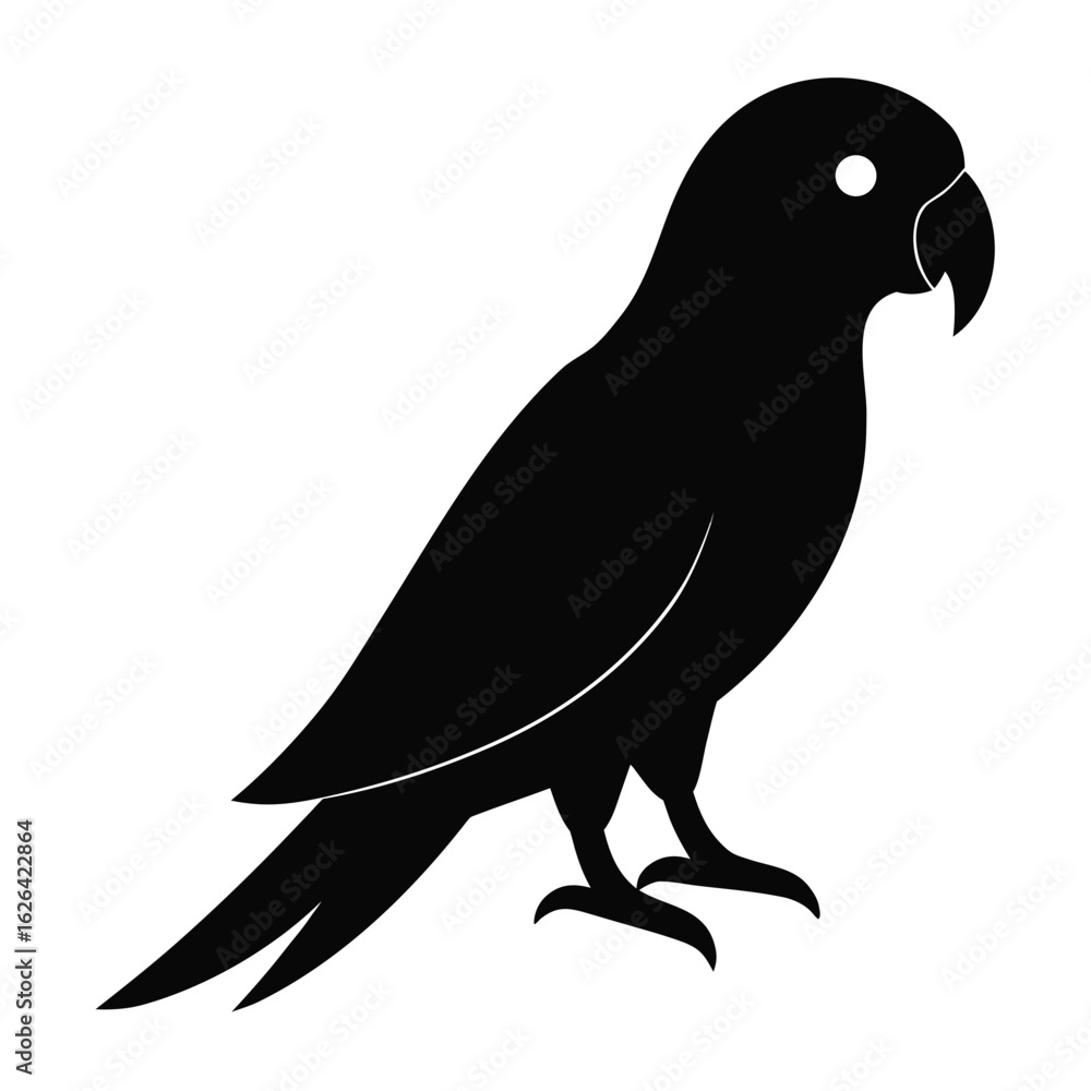 Fototapeta premium vector illustration of a bird