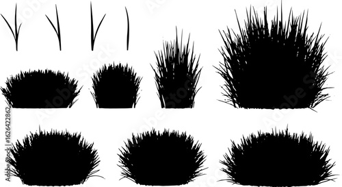 Vector art of set of grass silhouettes isolated on white background