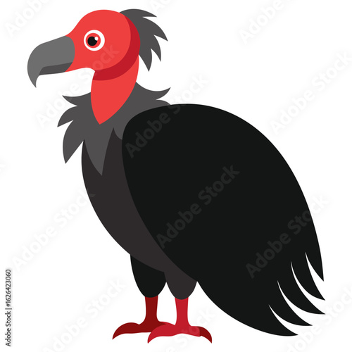 turkey vulture vector illustration