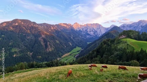 Hyper lapse of Logarska Dolina- farm, cows and mountains with houses from the Solcava panoramic road, Logar valley, Slovenia, Europe.