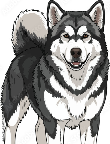 Alaskan Malamute Dog Smiling Portrait - Happy Canine Illustration

