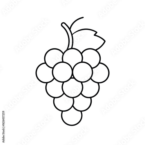 grapes cluster clipart vector