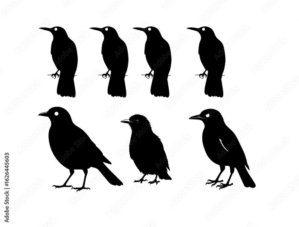 Naklejka premium Silhouettes of Minimal Bird Vector Illustration – Single Color Silhouette Design