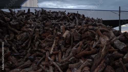 Firewood, fuel, industrial plants