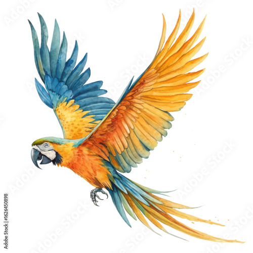 Vibrant blue and yellow macaw parrot in full flight isolated on transparent background