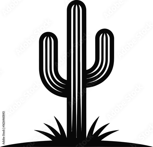 cactus vector illustration