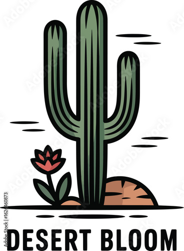 cactus in the desert