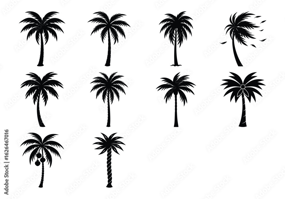 Fototapeta premium Collection of palm tree silhouettes isolated on white background