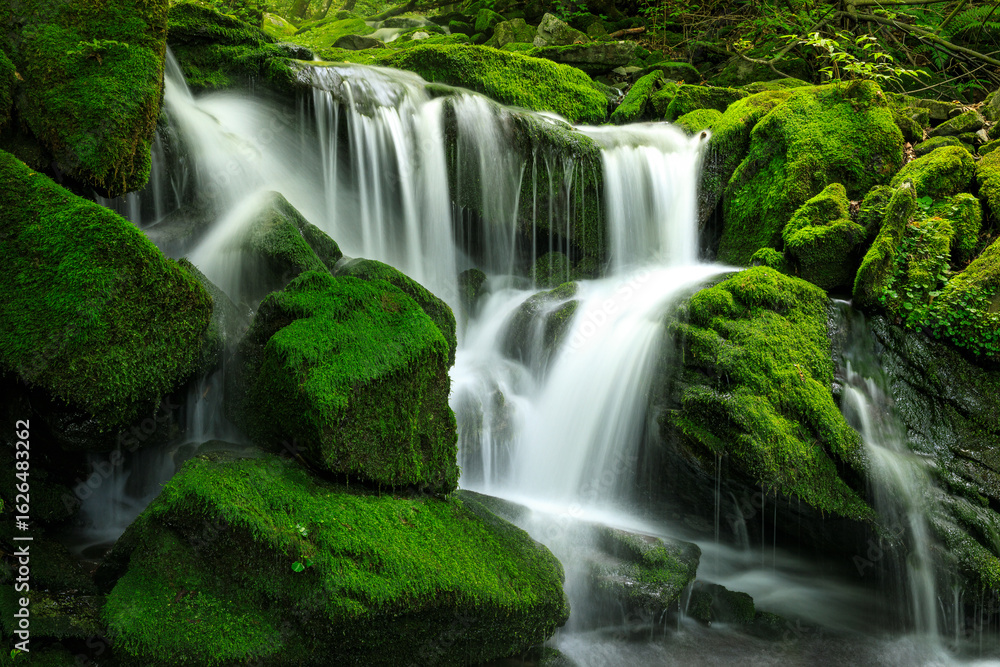 Obraz premium 장전이깨계곡, 이끼폭포