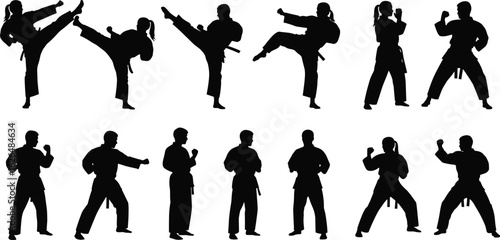 Martial arts silhouettes in dynamic poses, high kicks, stances, self-defense concept, combat training, discipline, vector illustration, action
