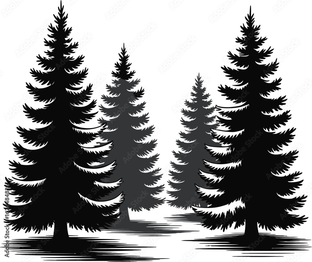 Obraz premium Silhouettes of evergreen pine trees in a forest at dusk or dawn