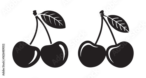 vector illustration of cherry