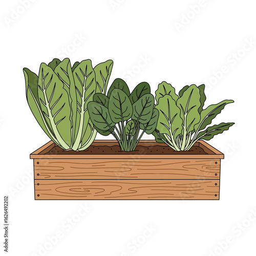 A wooden planter box overflowing with lush chard and spinach plants.