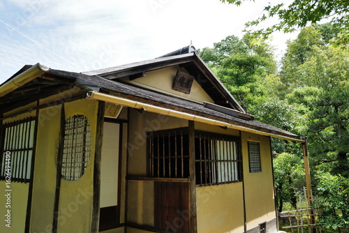 Wallpaper Mural old wooden house Torontodigital.ca