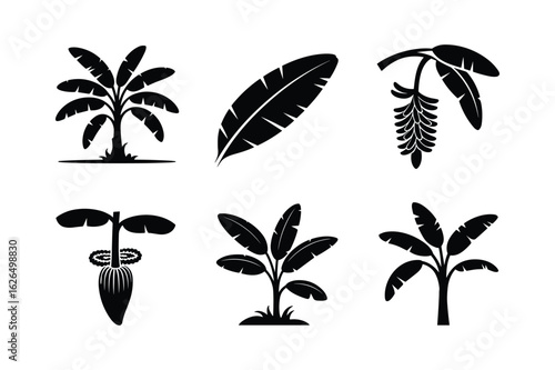 Banana Trees Leaves and Fruit Silhouettes banana leaf banana blossom