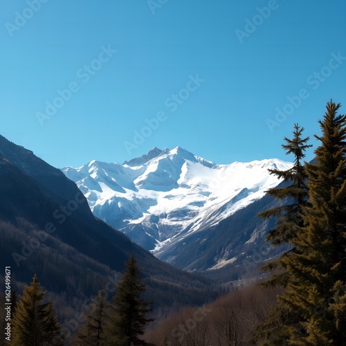 Wallpaper Mural Majestic snow capped mountain range viewed through a valley with evergreen trees under a clear blue sky Torontodigital.ca