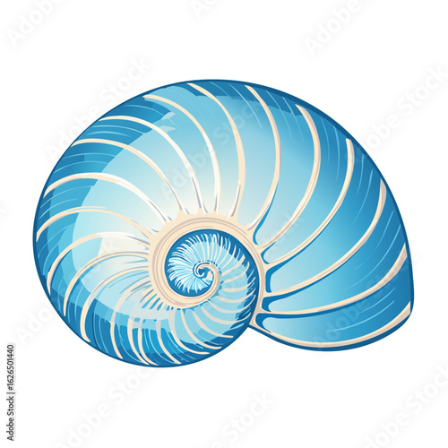 Nautilus Shell Illustration with Spiral Chambers Blue and White on Black Background