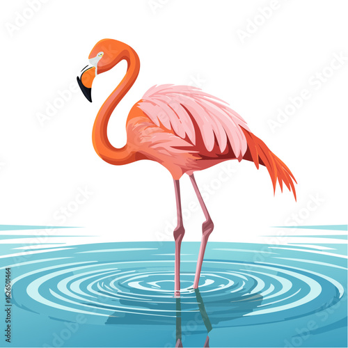 Elegant Flamingo Standing in Water with Ripples Cartoon Illustration Tropical Bird Exotic Wildlife Nature Waterfowl