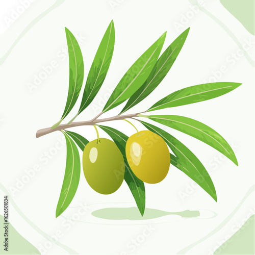 Olive branch illustration with green leaves and two olives on a light background for healthy eating ingredient