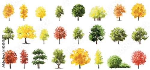 Vertor set of autumn tree,plants side view for landscape elevation and section,eco environment concept design,watercolor ginkgo tree illustration,colorfull,green tree,maple