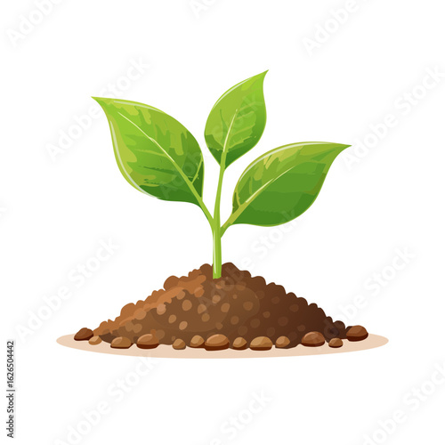 Green sprout growing from soil. Plant with leaves emerging from dirt. Concept of new life, nature, growth, eco, sustainability