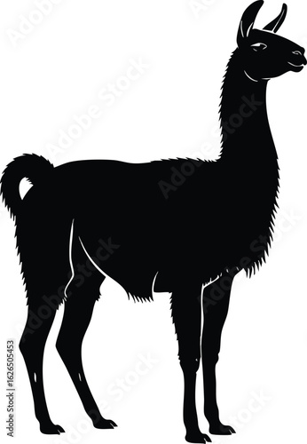 Black Llama Silhouette Vector Illustration
