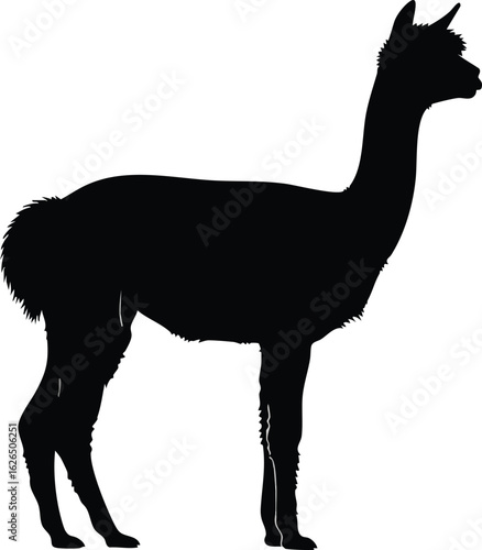 Llama or Alpaca Silhouette Vector Isolated Illustration