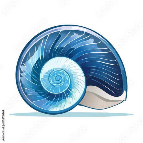 Illustration of a blue spiral seashell showcasing its intricate structure and pearly white opening on a black background
