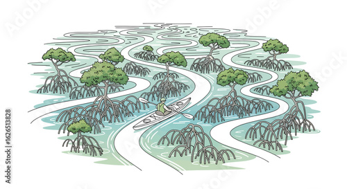 Kayak paddling through mangrove forest waterway scene