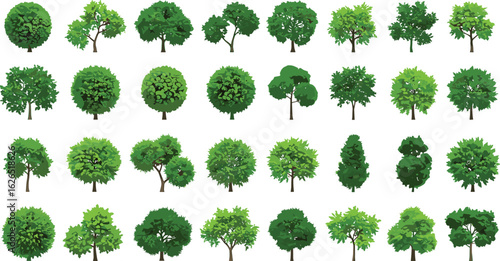 Various green leafy trees with top and side views, perfect for game assets, environment design, landscaping, illustration, and nature backgrounds
