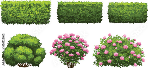 Cartoon green hedges and flowering pink bushes collection, trimmed garden plants and decorative landscape foliage for outdoor nature illustrations
