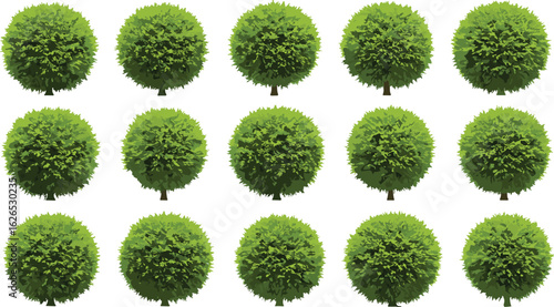 Round cartoon green trees collection, isolated vector foliage set, stylized topiary illustrations, flat garden plants, summer decorative tree icons for design