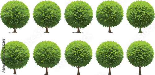 Realistic round leafy green trees, cartoon garden foliage icons, plant illustration bundle, natural decorative topiary elements, isolated summer tree vector collection set
