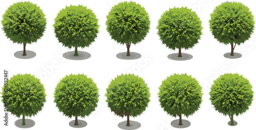 Round green leafy trees with shadow base, cartoon park foliage elements, landscaping plant clipart, summer tree illustration, decorative topiary vector image