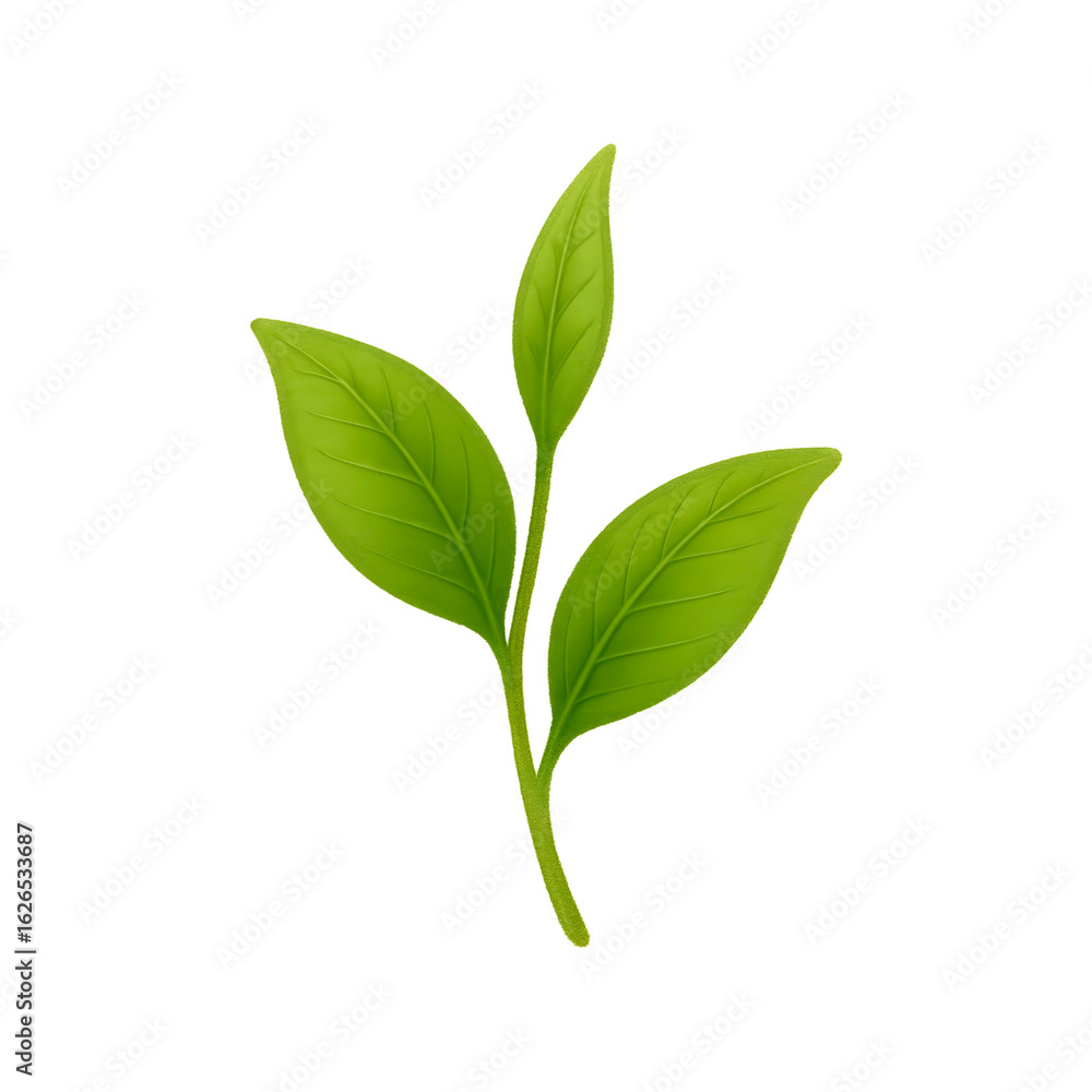 Green Tea Leaves Green Tea Leaves