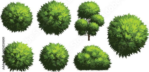 Collection of cartoon green bushes and shrubs, garden plants clipart, leafy foliage vector, decorative landscape elements, nature hedge set, topiary illustrations bundle