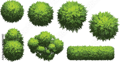 Top view of cartoon green bushes, rounded shrubs, garden foliage elements, landscaping clipart, leafy hedge design, nature plant vector, outdoor decorative illustration