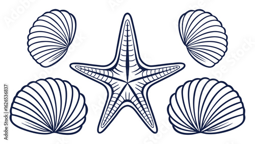 Line art of starfish and seashells in a marine decorative vector design
